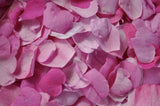 ALASKA ROSE JELLY - SalmonMarket