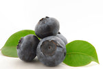 ALASKA BLUEBERRY JAM - SalmonMarket