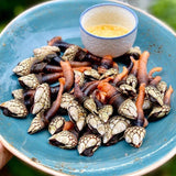 Canned Gooseneck Barnacles in Brine