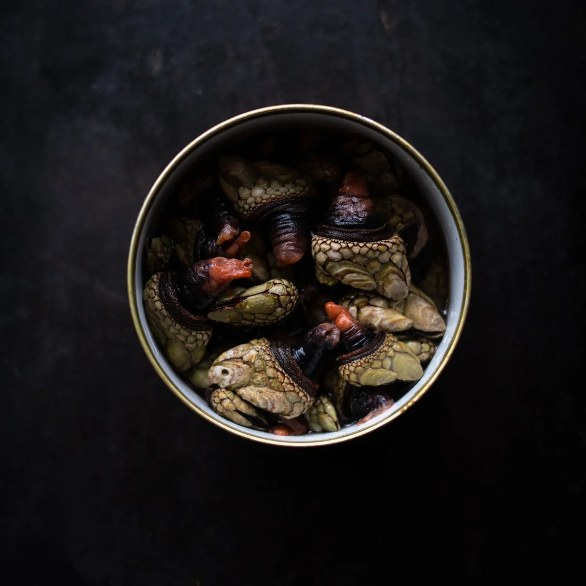Canned Gooseneck Barnacles in Brine – Alaskan Snacks