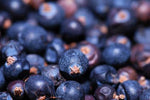ALASKA HUCKLEBERRY JELLY - SalmonMarket