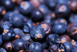 ALASKA HUCKLEBERRY JELLY - SalmonMarket